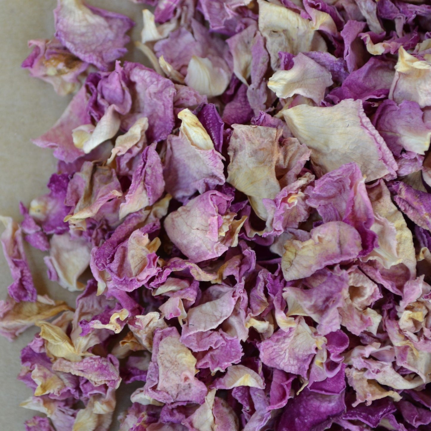 Pink Rose Flower Confetti