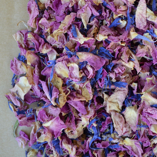 Pink Rose Blue Mix