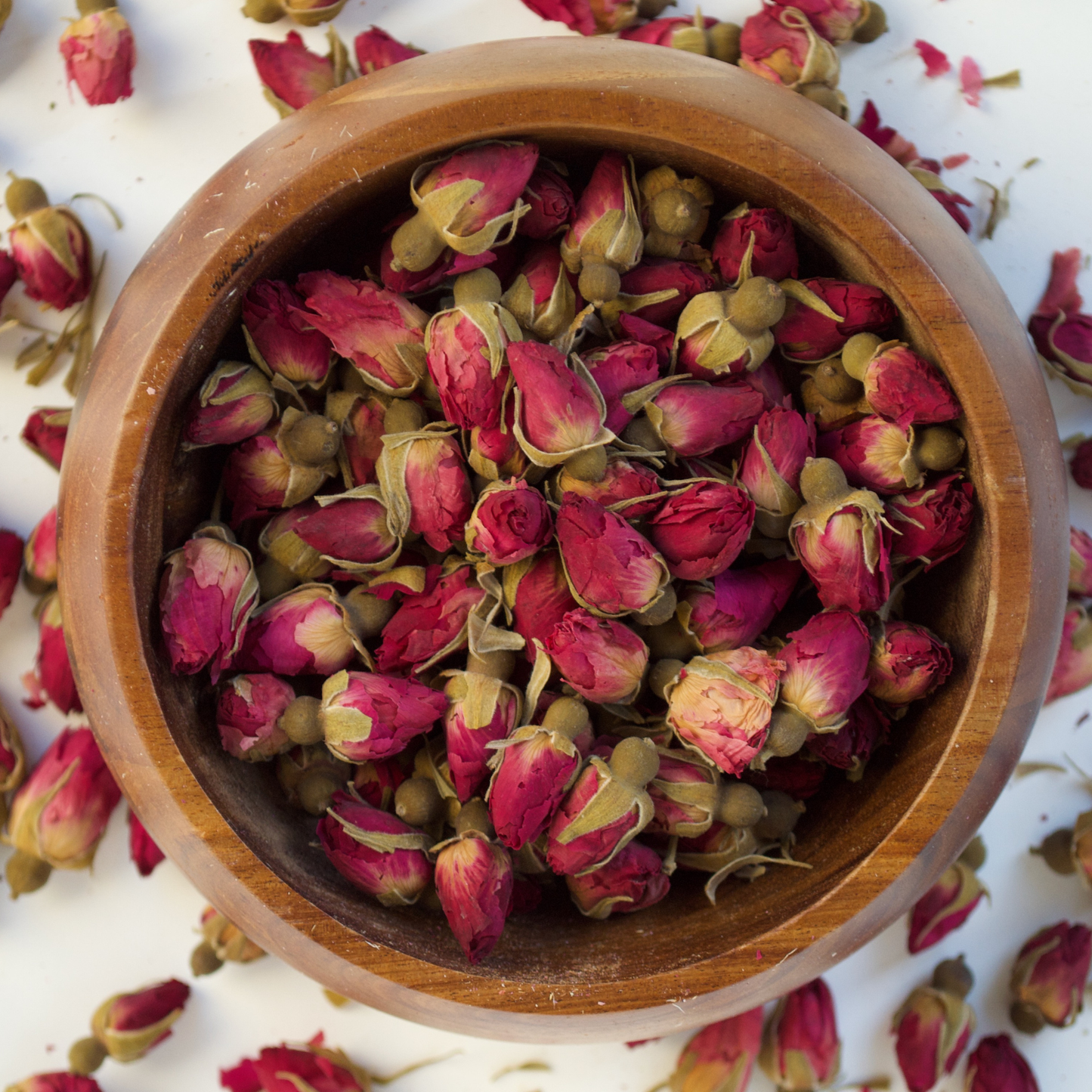 Red Rose Buds