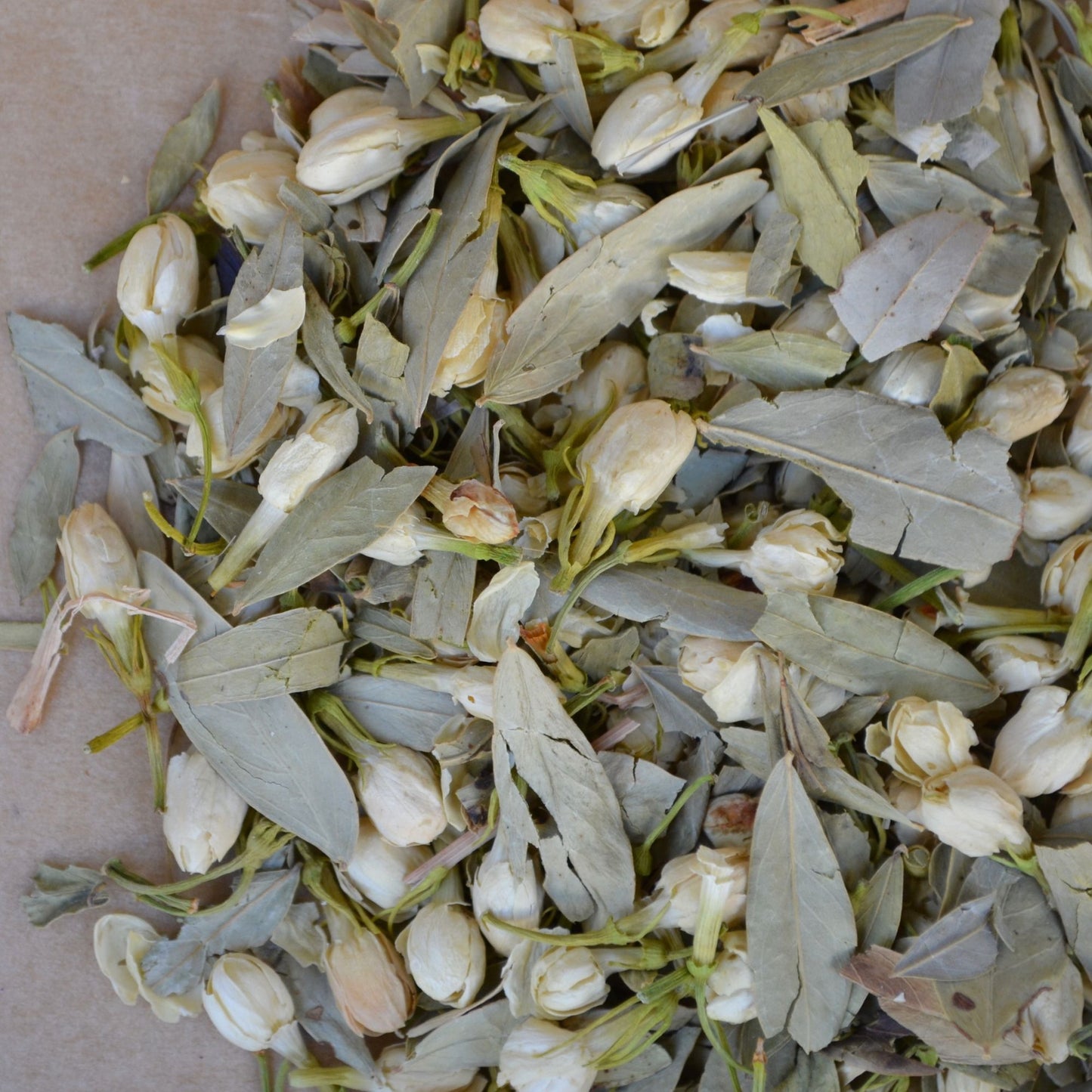 Jasmine Green Flower Confetti
