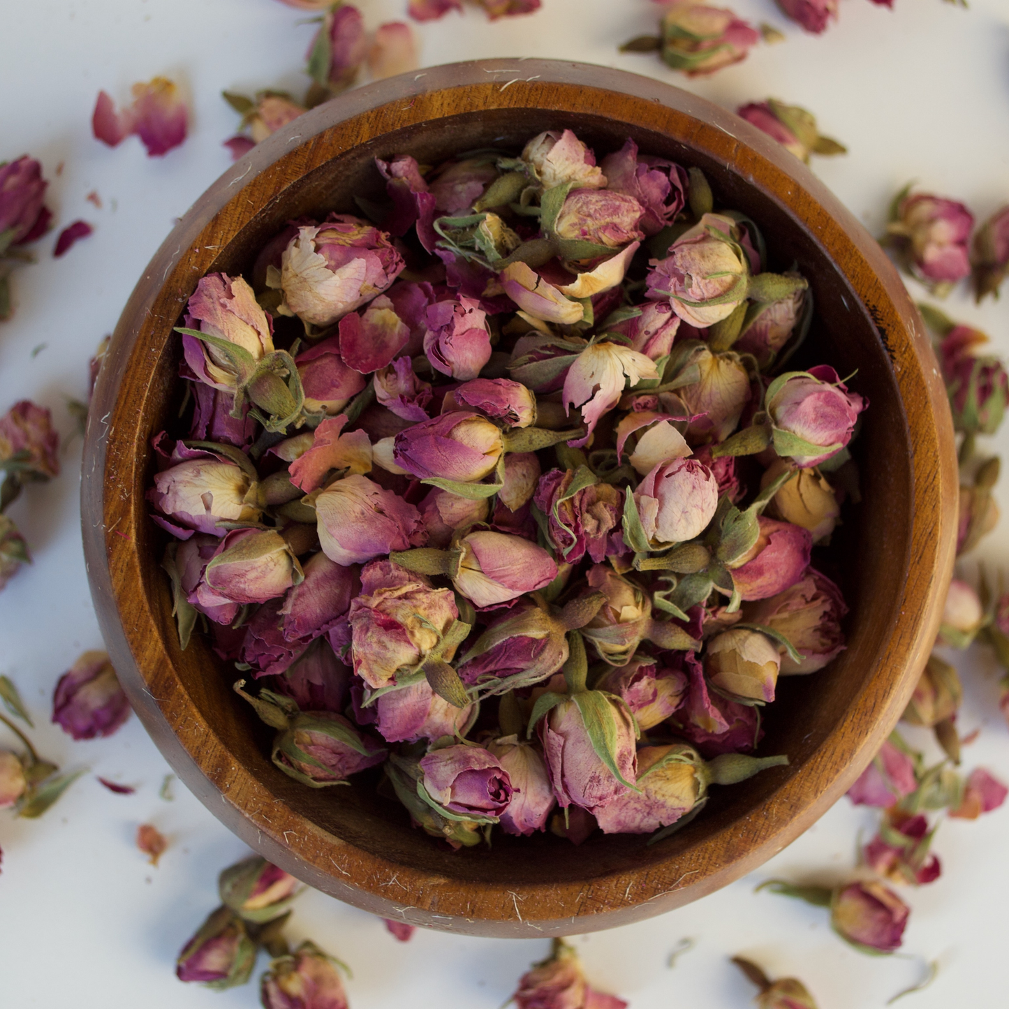 Pink Rose Buds
