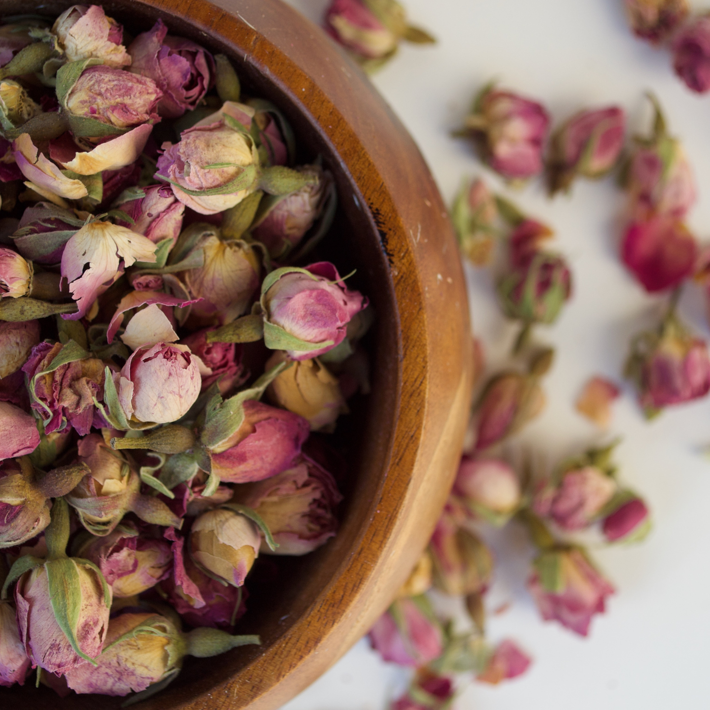 Pink Rose Buds