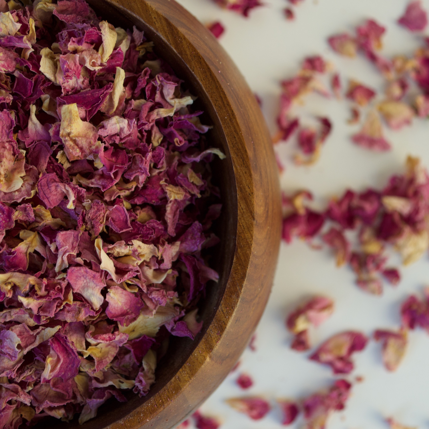 Pink Rose Petals